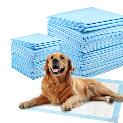 Quality  Super Absorbent Pet Training Pads with Wetness Indicator factory