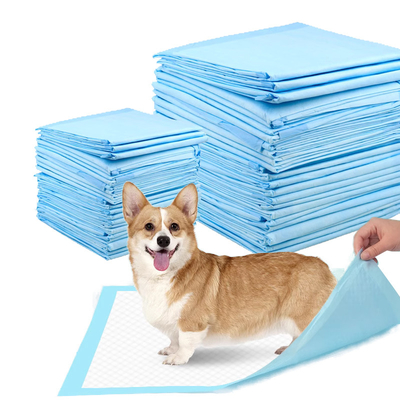 High Absorbency Super Absorbent Disposable Dog Training Pads