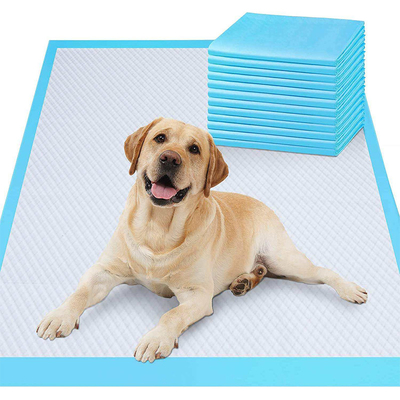 Pads de entrenamiento impermeables para mascotas lavables Cojín de mascotas mimado con polímero super absorbente