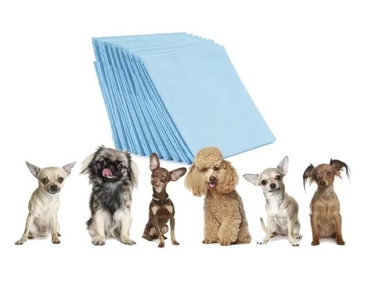Pad per animali domestici in tessuto non tessuto idrofilico con funzione di assorbimento istantaneo e di rimozione degli odori