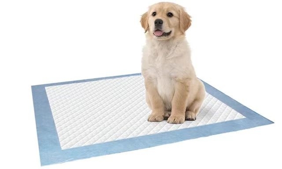 Pad per animali domestici in tessuto non tessuto idrofilico con funzione di assorbimento istantaneo e di rimozione degli odori
