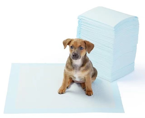 Pad per animali domestici in tessuto non tessuto idrofilico con funzione di assorbimento istantaneo e di rimozione degli odori